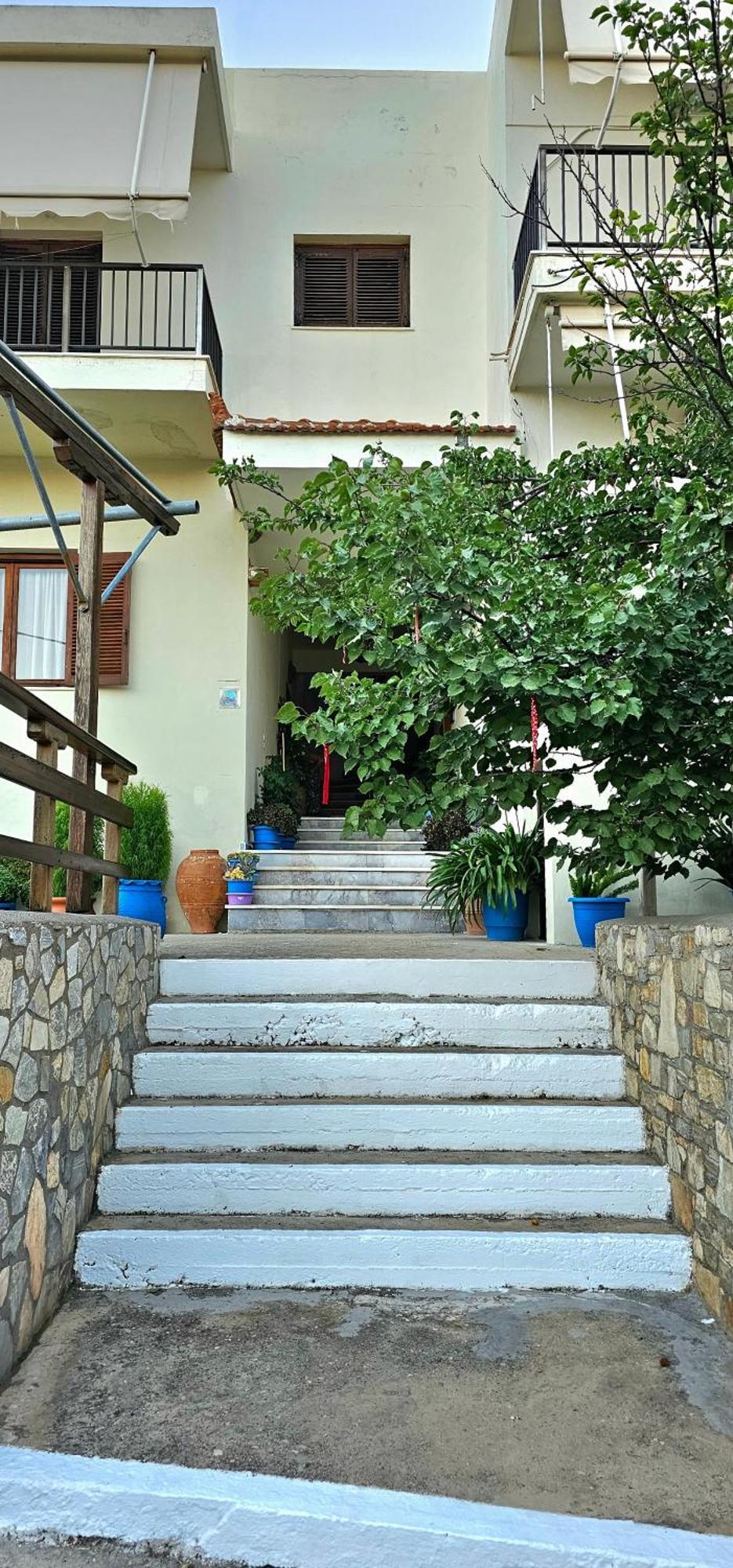 Pension Dimitra Vóci Kültér fotó